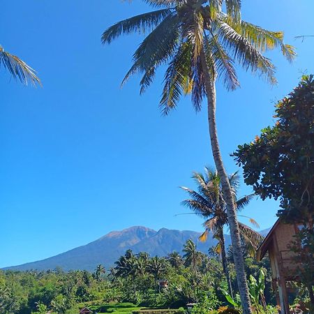 Dewi Rinjani Homestay 特特巴图 外观 照片