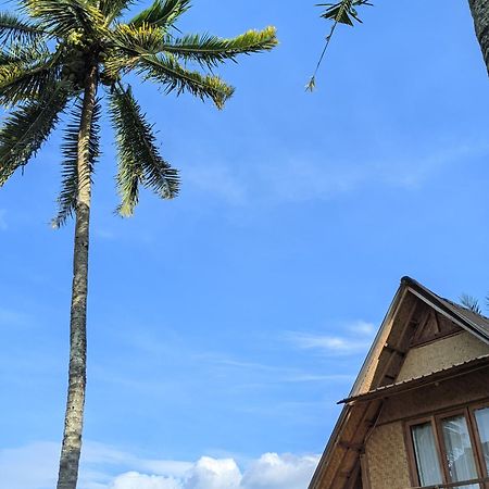 Dewi Rinjani Homestay 特特巴图 外观 照片