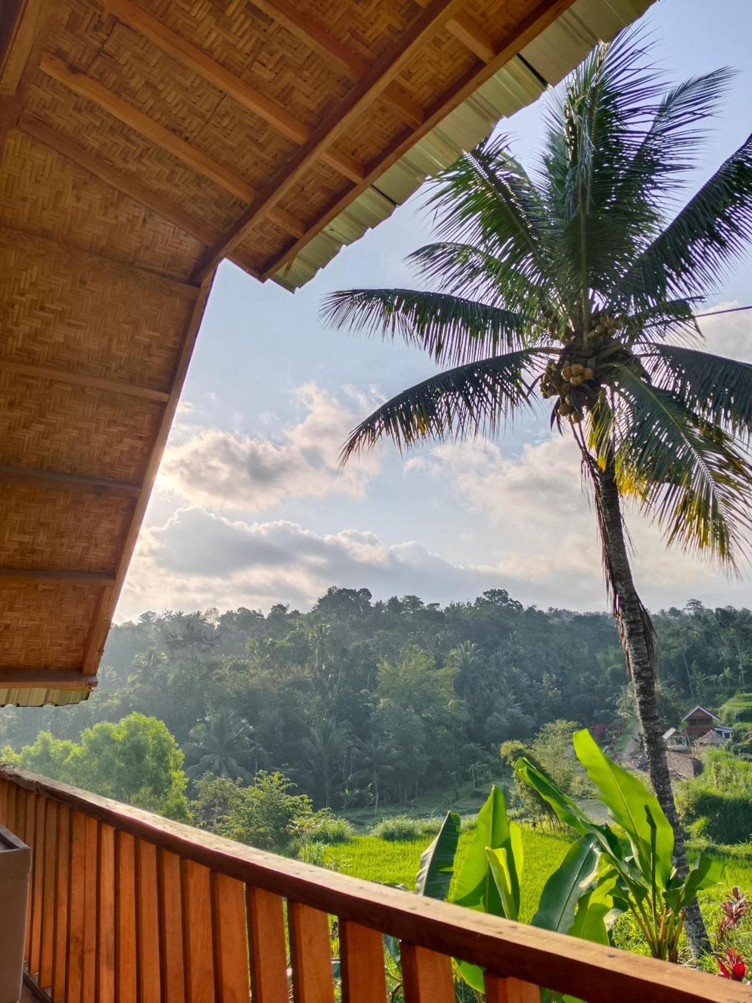 Dewi Rinjani Homestay 特特巴图 外观 照片
