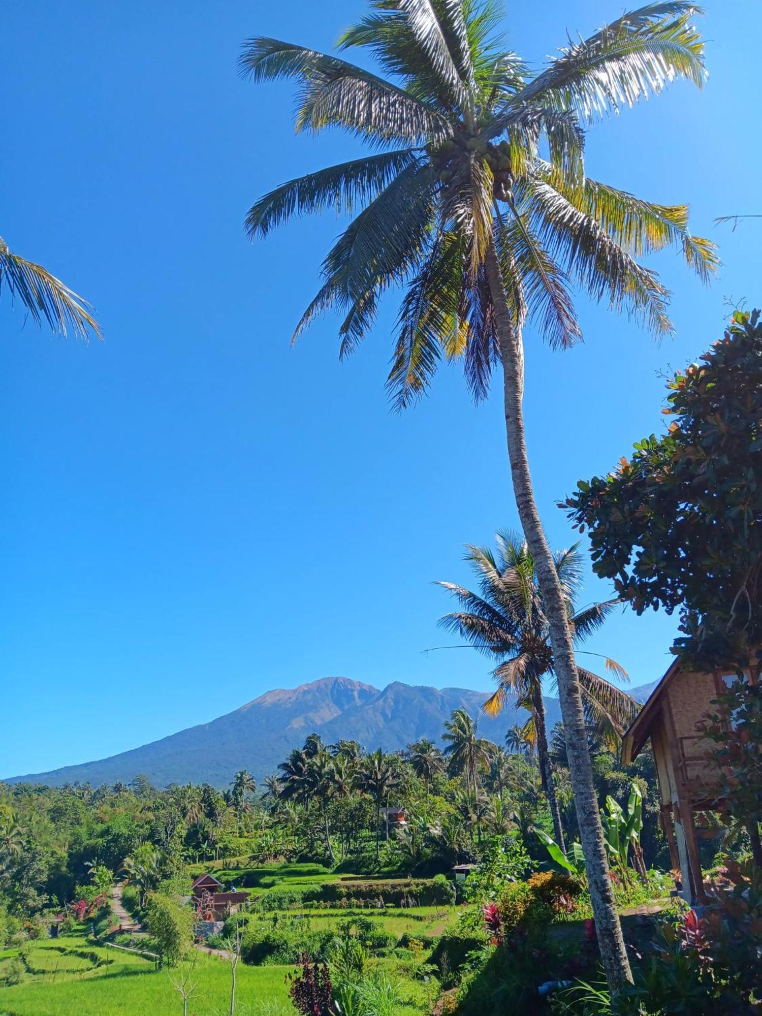 Dewi Rinjani Homestay 特特巴图 外观 照片