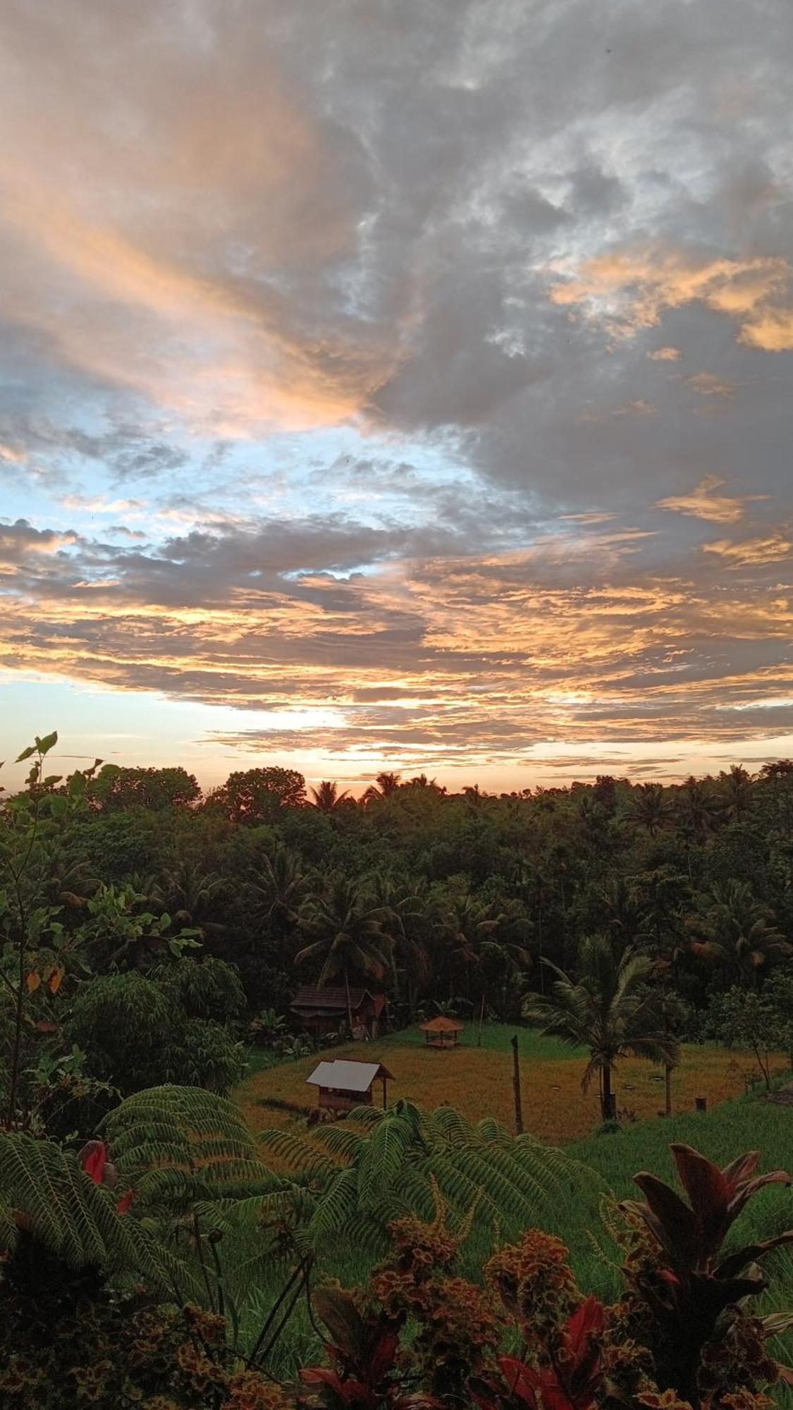 Dewi Rinjani Homestay 特特巴图 外观 照片