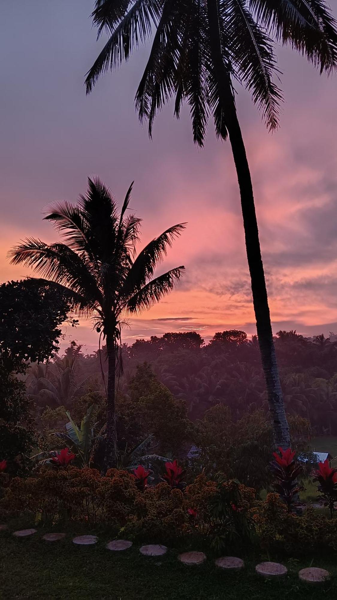 Dewi Rinjani Homestay 特特巴图 外观 照片