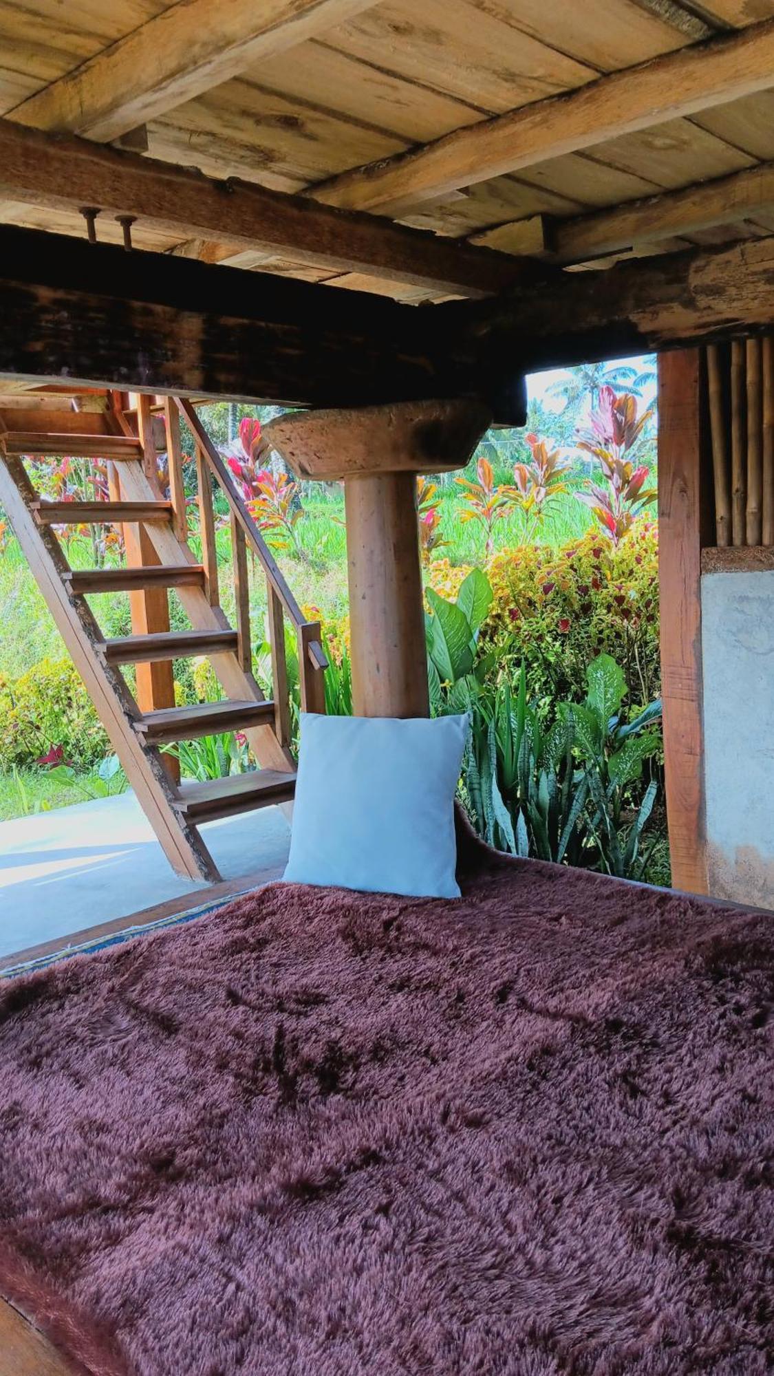 Dewi Rinjani Homestay 特特巴图 外观 照片