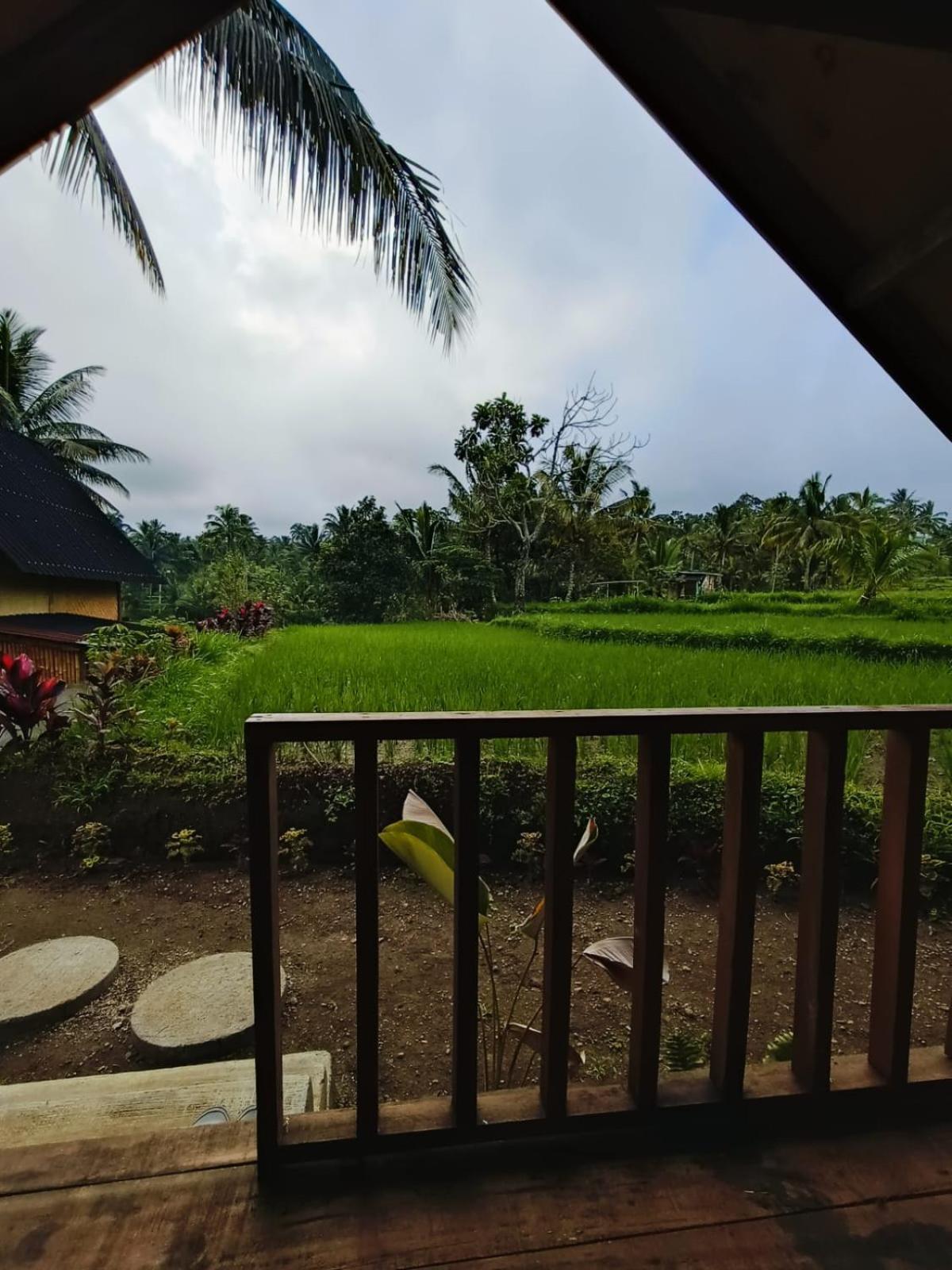 Dewi Rinjani Homestay 特特巴图 外观 照片