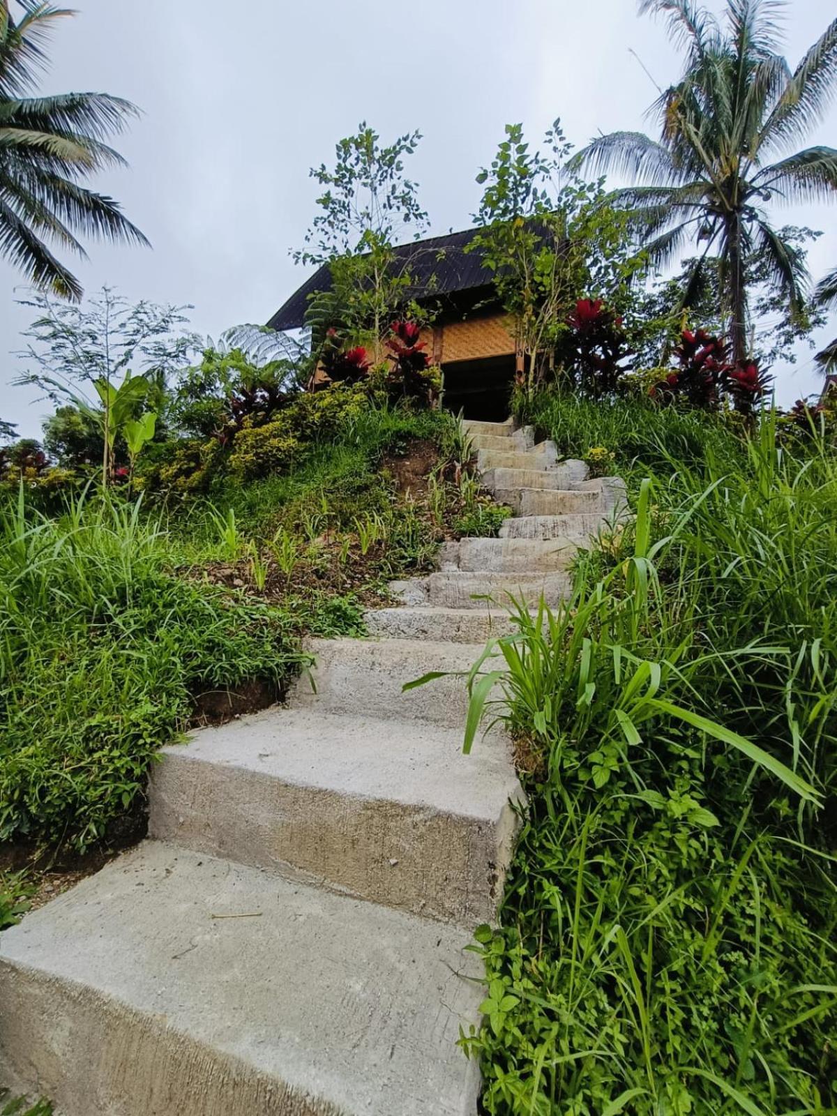 Dewi Rinjani Homestay 特特巴图 外观 照片