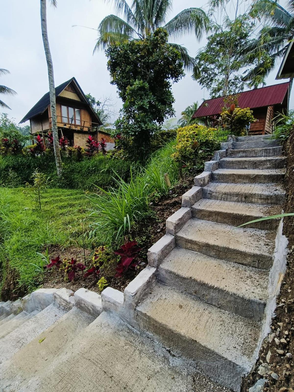 Dewi Rinjani Homestay 特特巴图 外观 照片