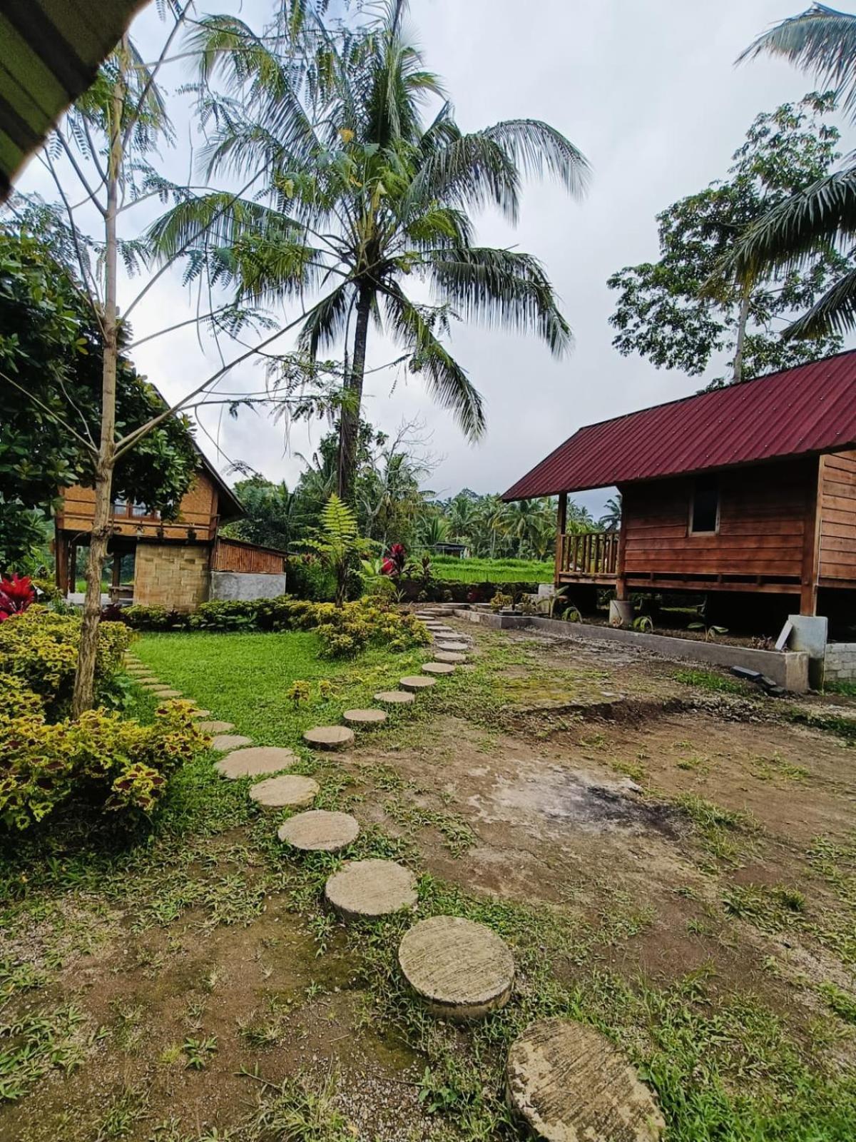 Dewi Rinjani Homestay 特特巴图 外观 照片